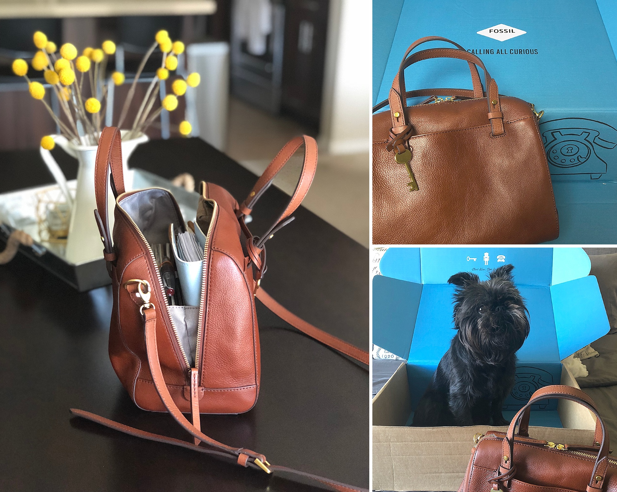 Comparison between the Fossil Sydney & The Fossil Rachel Satchel Bags 